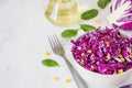 Fresh red cabbage salad with corn. Vegeterian and diet food. Spa Royalty Free Stock Photo
