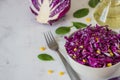 Fresh red cabbage salad with corn. Vegeterian and diet food. Spa Royalty Free Stock Photo