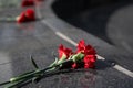 Fresh red carnations on a marble black monument Royalty Free Stock Photo