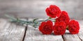 Fresh Red Carnations on Rustic Wooden Background. Royalty Free Stock Photo