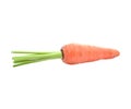 Fresh red carrot on white background Royalty Free Stock Photo