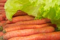 Fresh red carrots and green salad Royalty Free Stock Photo