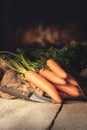 Fresh red Carrots on a table in a warm kitchen Royalty Free Stock Photo