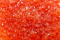 Fresh red caviar macro