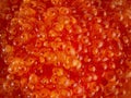 Fresh red caviar of salmon fish. The texture of the caviar. background for the design Royalty Free Stock Photo