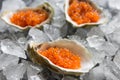 Fresh red caviar in the three oyster shells on ice Royalty Free Stock Photo
