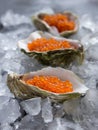 Fresh red caviar in the three oyster shells on ice Royalty Free Stock Photo