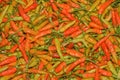 fresh red cayenne pepper full screen