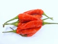 fresh red ceyenne pepper on a white background Royalty Free Stock Photo