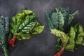 Fresh red chard and Tuscan kale leaves on dark background