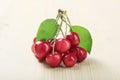 Fresh red cherries Royalty Free Stock Photo