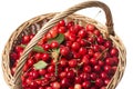 Fresh red cherries in a basket Royalty Free Stock Photo