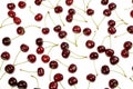 Fresh red cherries and green leaves Royalty Free Stock Photo