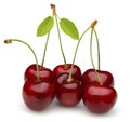 Fresh red cherries with green leaves isolated Royalty Free Stock Photo