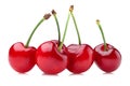Fresh red cherries isolated on white Royalty Free Stock Photo