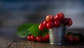 Fresh red Cherries in small metal bucket on old wooden background rural style Royalty Free Stock Photo