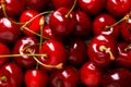 Fresh red Cherries. Royalty Free Stock Photo