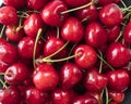 Fresh red cherries. Texture cherries fruits close up. Cherry fruit. Cherries with copy space for text. Top view. Royalty Free Stock Photo