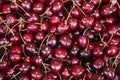 Fresh red cherries. Texture cherry berries Royalty Free Stock Photo