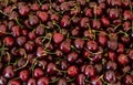 Fresh red cherries. Texture cherries fruits close up Royalty Free Stock Photo