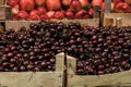 Fresh red cherries in wooden boxes for sale at a green market in Tetovo, North Macedonia. Royalty Free Stock Photo