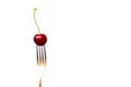 fresh red cherry blossom with green on a fork isolated on a white background - sweet eating, dessert and food concept Royalty Free Stock Photo