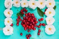 Fresh red cherry in a bowl on an old painted wooden table as a bright colorful summer background Royalty Free Stock Photo