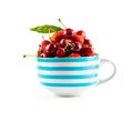 Fresh red cherry close up Royalty Free Stock Photo