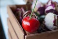 Fresh red cherry Royalty Free Stock Photo