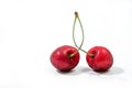 Two fresh cherries on white background Royalty Free Stock Photo