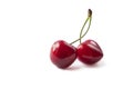 Fresh red cherry isolated on white. Cherry fruit with copy space for text. Sweet cherry isolated on white background cutout. Royalty Free Stock Photo