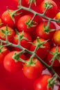 Fresh red cherry tomato on red background Royalty Free Stock Photo