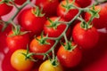 Fresh red cherry tomato on red background Royalty Free Stock Photo