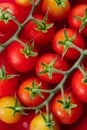 Fresh red cherry tomato on red background Royalty Free Stock Photo