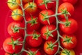 Fresh red cherry tomato on red background Royalty Free Stock Photo