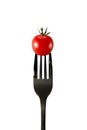 Fresh red cherry tomato on black fork isolated on white Royalty Free Stock Photo