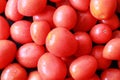 Fresh and ripe cherry tomato natural background. Great for desktop wallpaper, cooking presentation background, and recipe content.