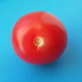 Fresh red cherry tomato over blue. Healthy vegetables. Organic tomato. Royalty Free Stock Photo