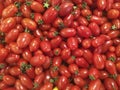 Fresh red cherry tomatoes at farmers market Royalty Free Stock Photo