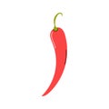 Fresh red chili pepper on a white background. Vector flat image Royalty Free Stock Photo