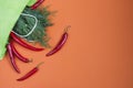 Fresh red chili peppers and dill greens in a paper bag on an orange background. Bag for shopping healthy food. View from above Royalty Free Stock Photo