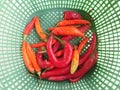 Fresh red chilies in a green basket Royalty Free Stock Photo