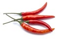 Fresh red chilli Royalty Free Stock Photo