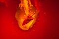 Fresh red chilli pepper in fire as a symbol of burning feeling of spicy food and spices. Red background. Neural network