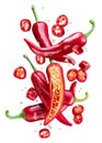 Fresh red chilli peppers and pepper slices floating in the air. File contains clipping paths Royalty Free Stock Photo