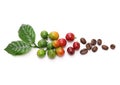 Fresh red coffee beans with leaves Royalty Free Stock Photo