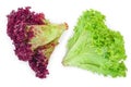 Fresh red coral and green salad or lettuce isolated on the white background. Top view. Flat lay Royalty Free Stock Photo