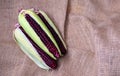 Fresh red corn, Siam ruby, purple corn of Thailand is a type of sweet corn.Fresh-edible varieties, flavors are sweet and crisp is Royalty Free Stock Photo