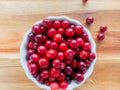 Fresh Red Cranberries in Ceramic Bowl Royalty Free Stock Photo