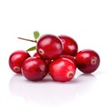 Fresh red cranberries organic raw for salads on white background Generative AI Illustration Royalty Free Stock Photo